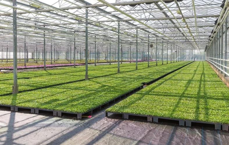 植物盒子塑造室内园艺新生态,推动分布式智慧植物工厂